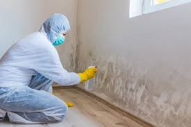 Best Water Damage & Mold Remediation  in Clendon, AR