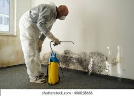 Best Mold Removal for HVAC Installations  in Clendon, AR